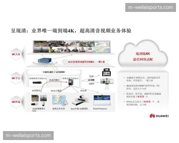 家庭大屏与移动小屏协同策略强化，覆盖多场景需求